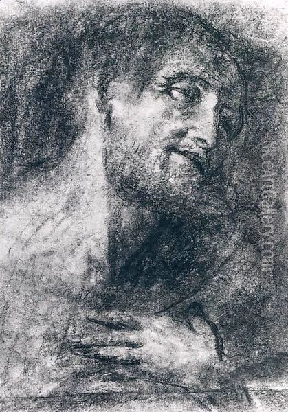 Head of a Bearded Man Oil Painting - Giovanni Girolamo Savoldo