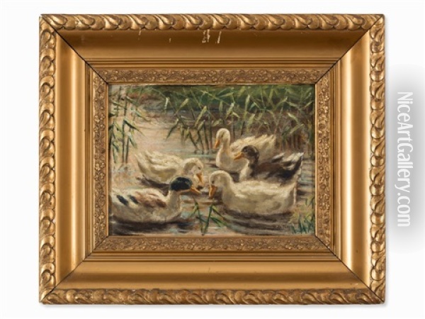 Ducks In The Pond Oil Painting - Reinhold De Witt
