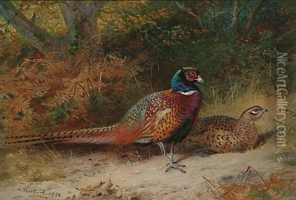 Pheasants In A Wood, A Cock And A Hen Oil Painting - Archibald Thorburn