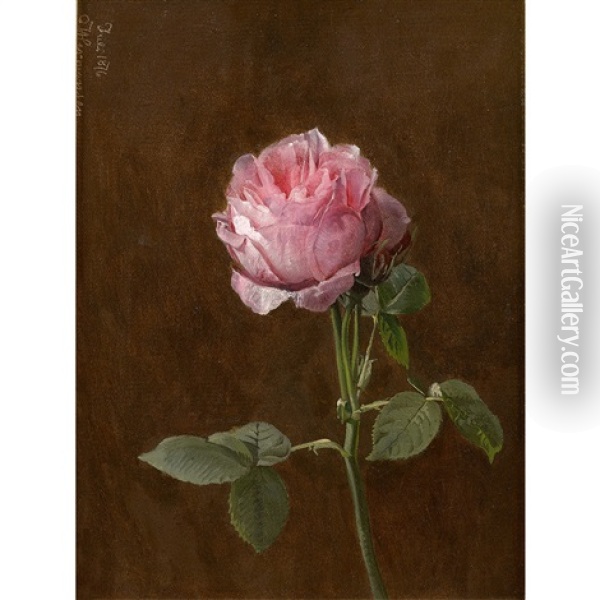 Rose Oil Painting - Olaf August Hermansen