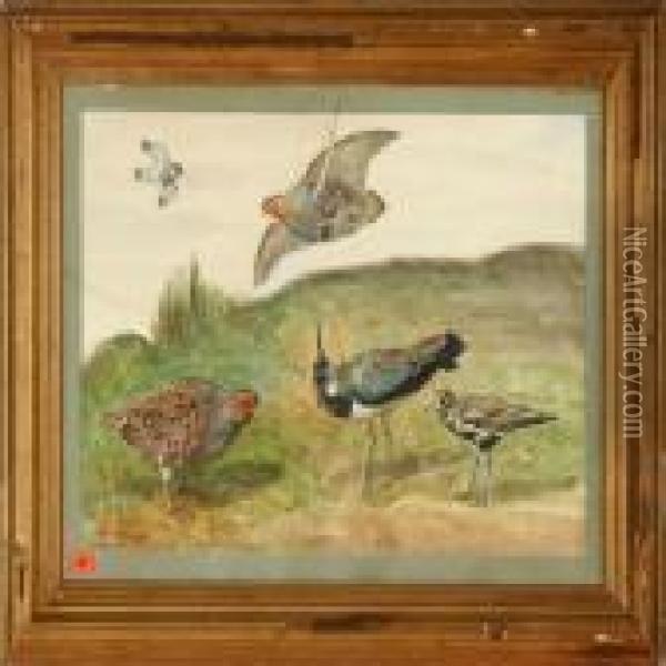 Study Of Birds Oil Painting - Rasmus Christiansen