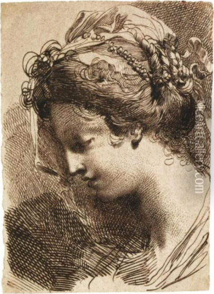Head Of A Young Woman Oil Painting - Gaetano Gandolfi
