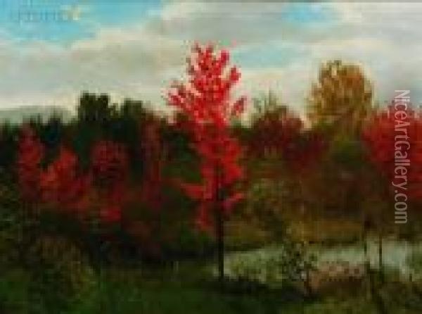 Autumn, Summit Woods, New Jersey Oil Painting - Albert Bierstadt