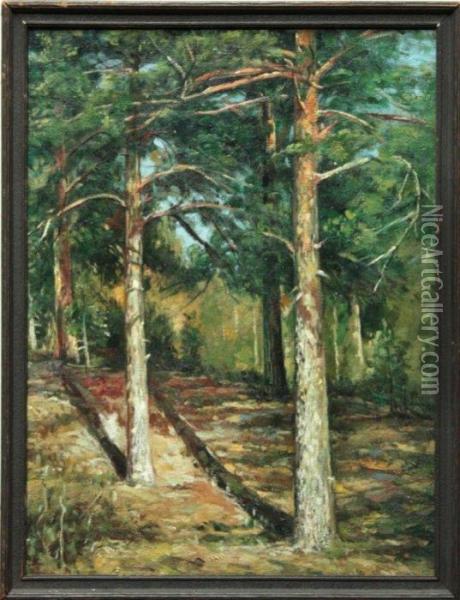 Pinetrees Oil Painting - Ivan Shishkin