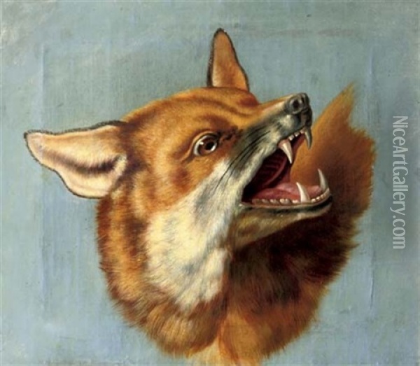 The Head Of A Fox (study) Oil Painting - Jean-Baptiste Oudry