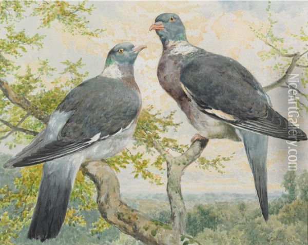 Wood Pigeons Oil Painting - Charles Collins