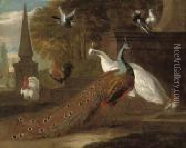 A Peacock, A Peahen, A Turkey, A Cockeral And Pigeons In Aclassical Landscape Oil Painting - Pieter III Casteels