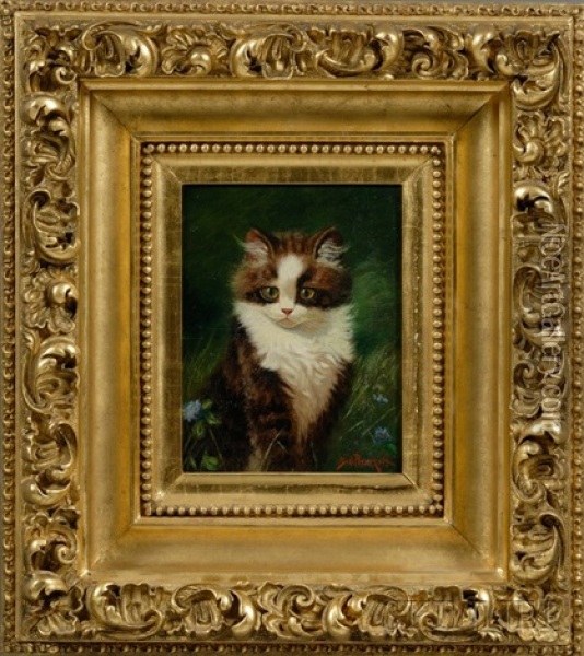 Kitten Oil Painting - Sidney Lawrence Brackett