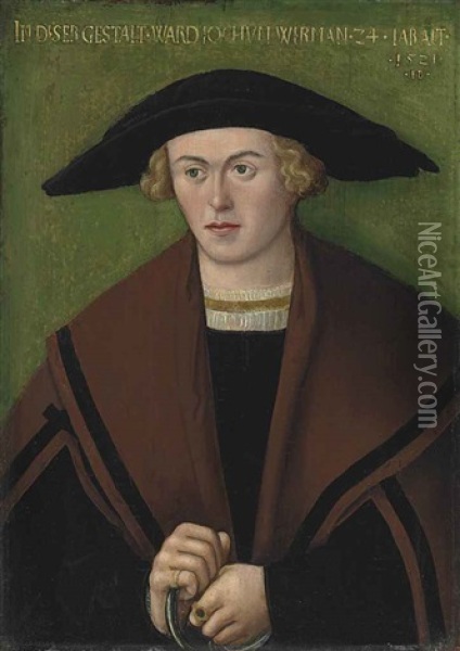 Portrait Of Jochum Wirman Oil Painting - Hans Brosamer