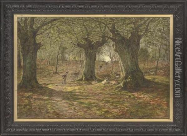 Deer In Burnham Beeches, Buckinghamshire Oil Painting - William Snr Luker