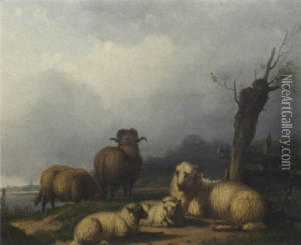 Sheep On A Riverbank Oil Painting - Pieter Plas