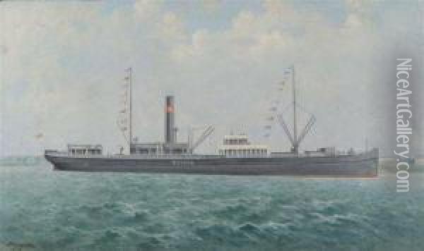 Study Of The Steamship Botnia Oil Painting - George Mcconnell