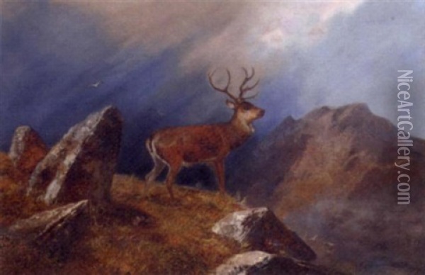 A Stag In A Highland Landscape Oil Painting - Clarence Henry Roe