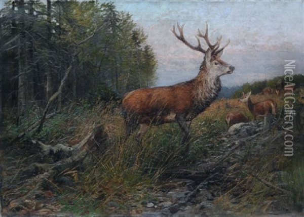 Sichernder Rothirsch Oil Painting - Albert Ernst Muehlig