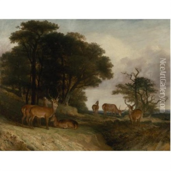Deer At The Edge Of A Clearing At Sunset Oil Painting - William John Higgins