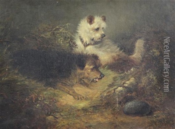 Terriers Beside A Rabbit Hole Oil Painting - Edward Armfield