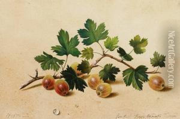 Branche De Groseilles A Maquereau Oil Painting - Feodor Petrovitch Tolstoi