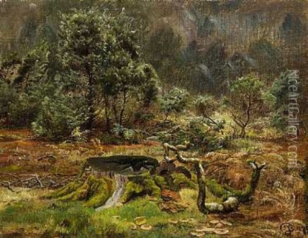 En Traestub I Skovbunden Oil Painting - Johannes Boesen