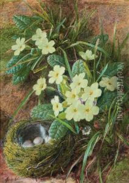 Still Life Of A Bird's Nest And Primroses Oil Painting - George Clare