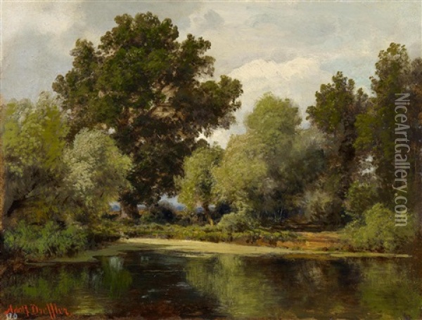 Bewaldete Teichlandschaft Oil Painting - Adolf Dressler