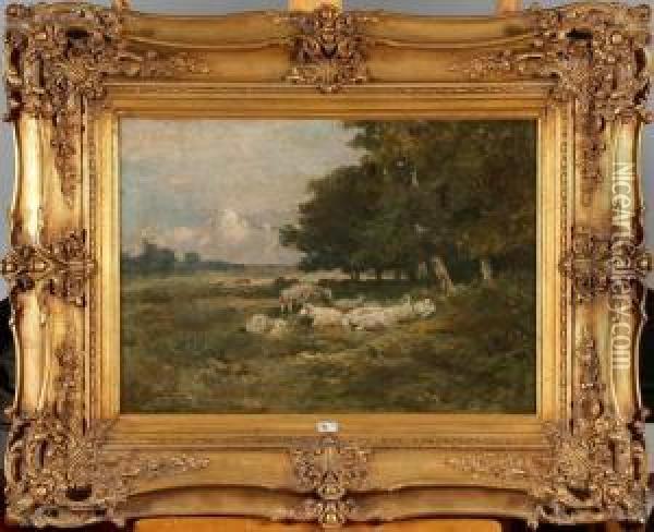 Moutons Au Pre Oil Painting - Alfred Jacques Verwee