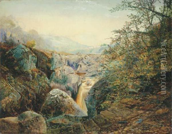 Colwith Force Oil Painting - John Atkinson Grimshaw