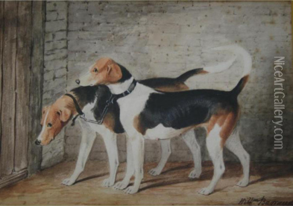 Coupled Fox Hounds Oil Painting - William Barraud