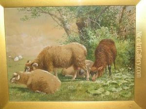 Sheep Grazing In A Field Oil Painting - Richard Beavis
