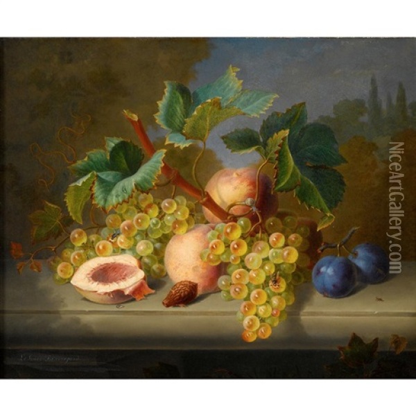 Grapes, Peaches, And Plums On A Stone Ledge Oil Painting - Ange Louis Guillaume Lesourd-Beauregard