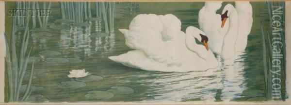 Two Swans Oil Painting - Alfredo Muller