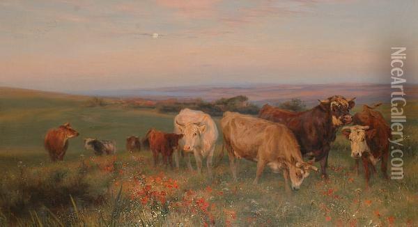 Cattle In A Meadow At Dusk. Oil Painting - Henry William Banks Davis, R.A.