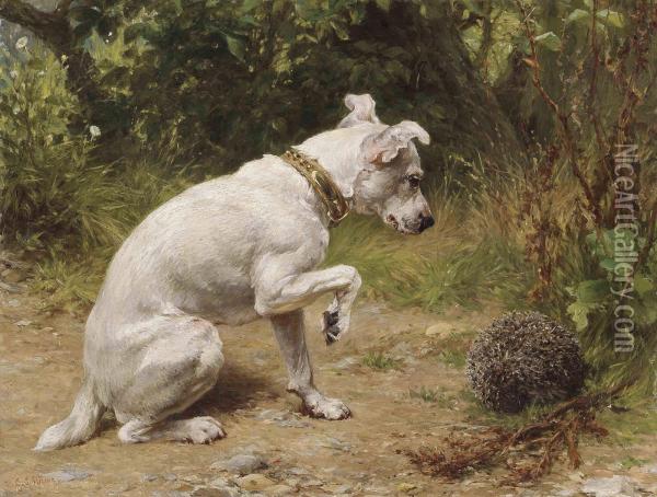 A Prickly Encounter Oil Painting - George Holmes