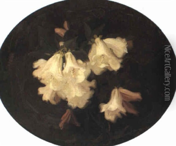 Rhododendrons Oil Painting - Stuart James Park