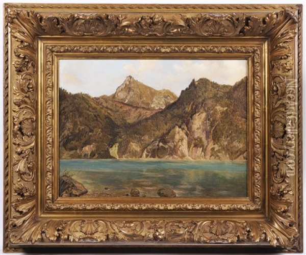 Alpine Landscape Oil Painting - Johann Novopacky