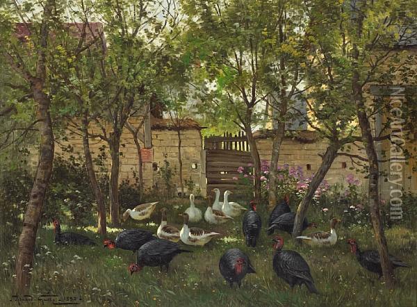 Turkeys And Geese In A Garden Oil Painting - Armand Guery