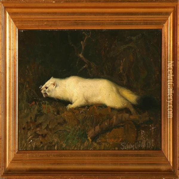 A White Mink Oil Painting - Niels Peter Rasmussen