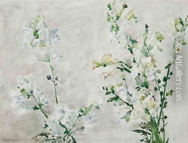 White Freesias And Narcissi Oil Painting - Francis Edward James
