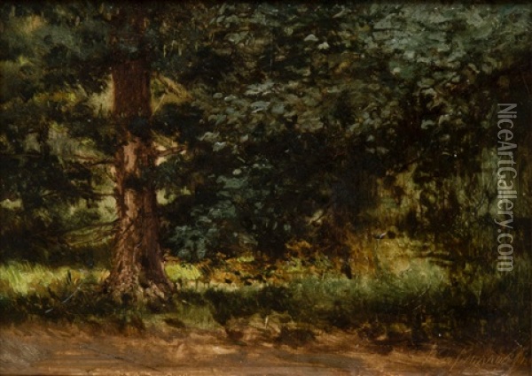 A Forest Landscape Oil Painting - Pavel Aleksandrovich Bryullov