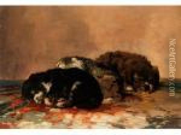 Drei Schlafende Junge Hunde Oil Painting - Henriette Ronner-Knip