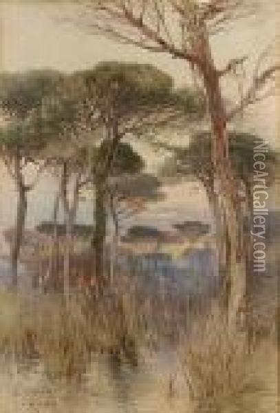 The Roman Campagna Oil Painting - Onorato Carlandi