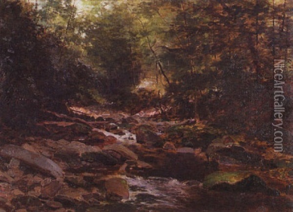 Forest Landscape With Rocky Stream Oil Painting - Bror Anders Wikstrom