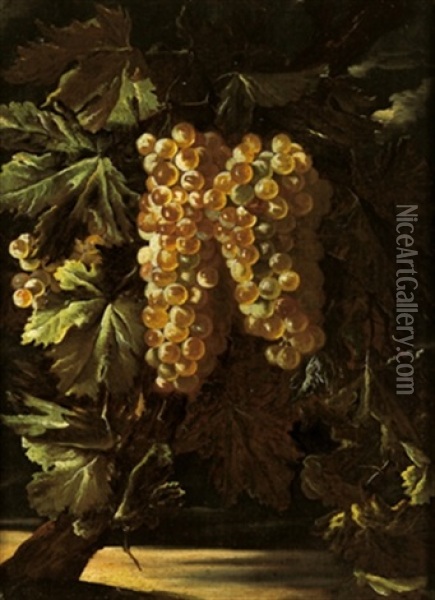Natura Morta Con Uva (+ Another; Similar; Pair) Oil Painting - Giovanni Paolo Castelli (lo Spadino)