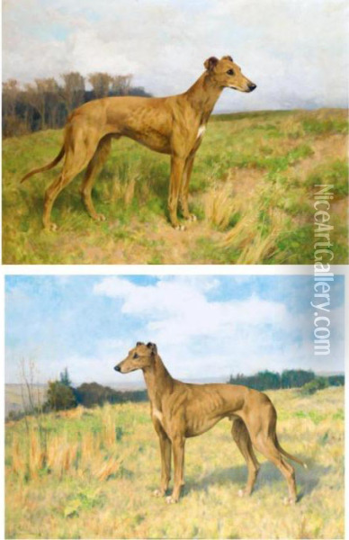 Champion Greyhounds Dee Flint And Dee Rock Oil Painting - Arthur Wardle