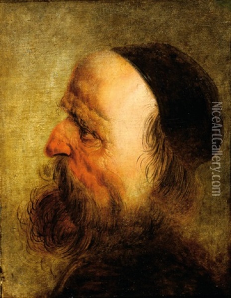 Study Of A Head Of An Old Man On Profile Oil Painting - Jan van de Venne