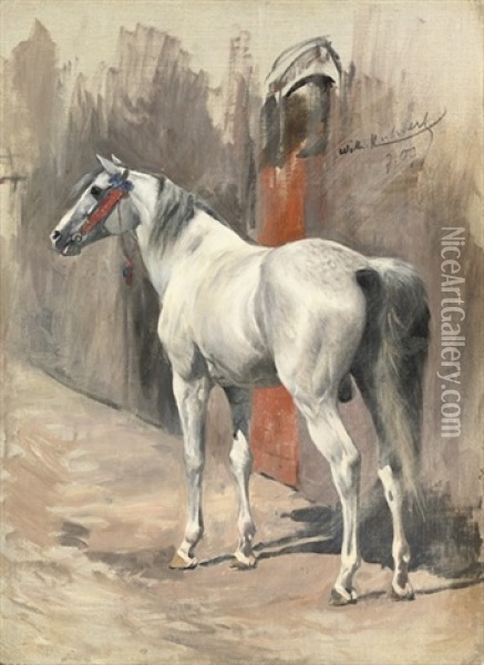 A Grey Arabian Stallion Oil Painting - Wilhelm Friedrich Kuhnert