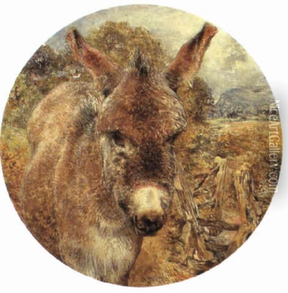A Donkey At A Style Oil Painting - William Huggins
