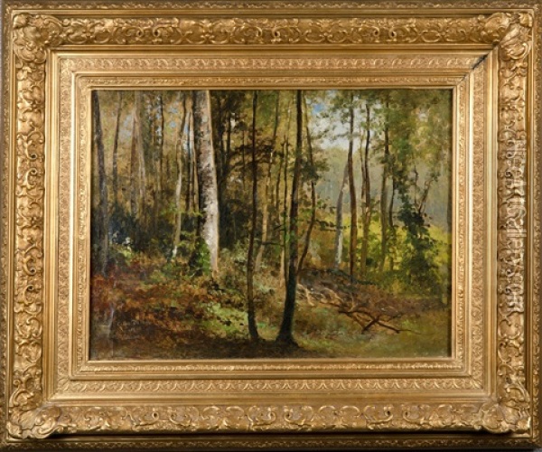 Forest In Belgium Oil Painting - Cesar De Cock