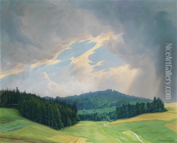 Landschaft Mit Tiefem Horizont Oil Painting - Wilhelm Dachauer