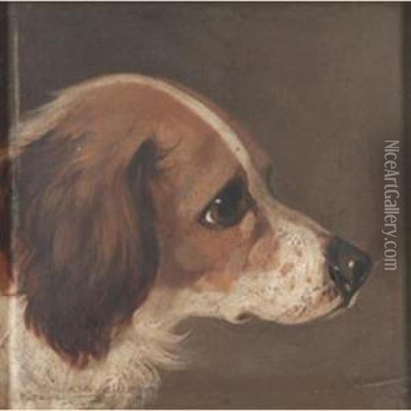 Head Studies Of Dogs Oil Painting - Edwin Loder