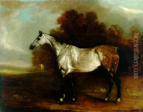 A Grey Horse In A Landscape Oil Painting - John E. Ferneley